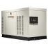 Газовий генератор Generac RG2224 однофазний