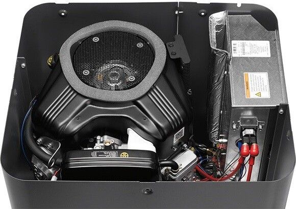 Генератор газовий Briggs&Stratton 8000 (040495)