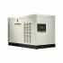 Генератор газовий Generac RG064