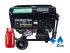 Гібридний генератор Iron Angel EG 8000E LPG